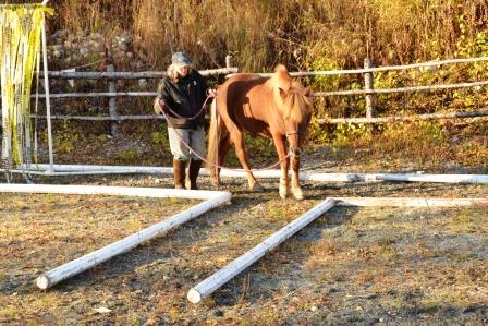 After going forward and then backikng, Raudi maskes a right turn
